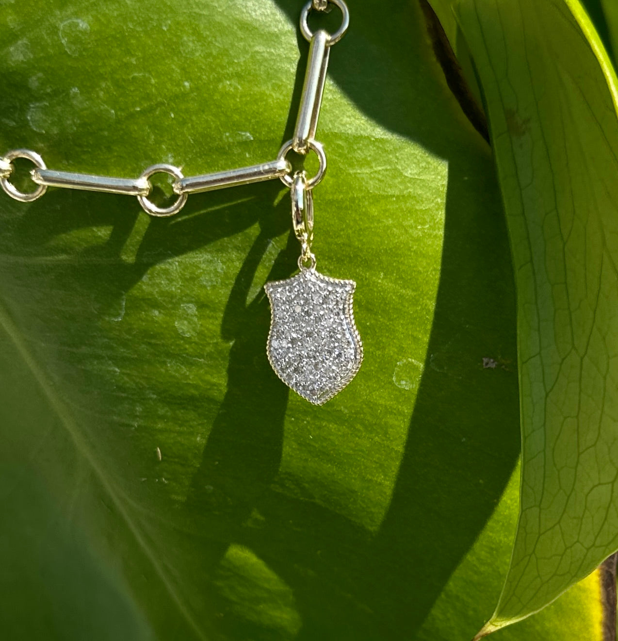 DIAMOND SHIELD CHARM WITH ROPE BORDER